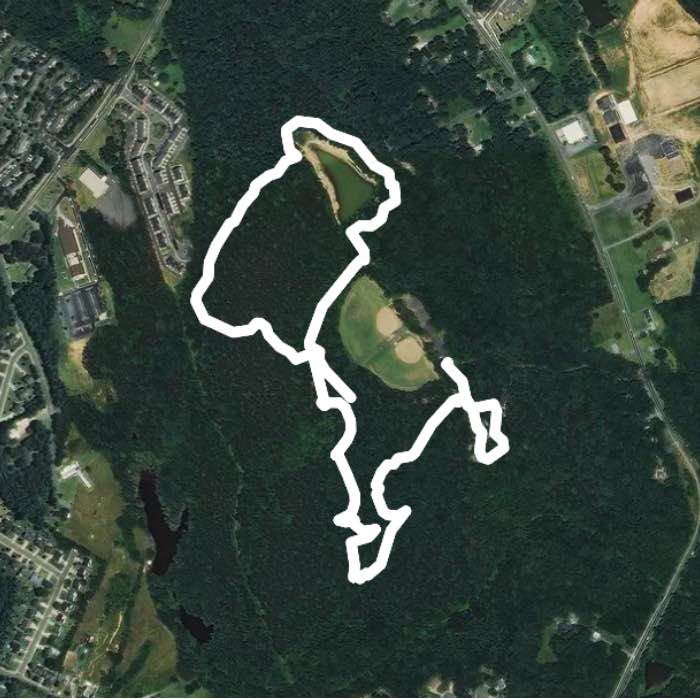 frisbee golf