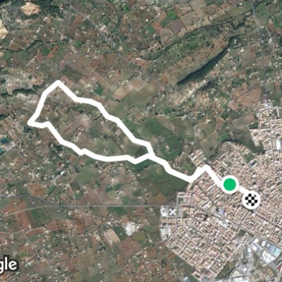 camino viejo biniamar