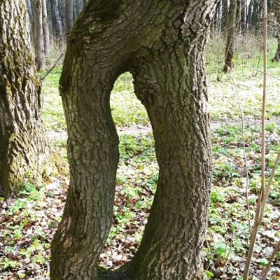 Щёкино Vitaliy post image