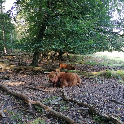 Wendy 🇳🇱 post 1