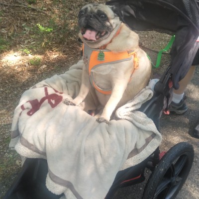 Michael Maverly post 2