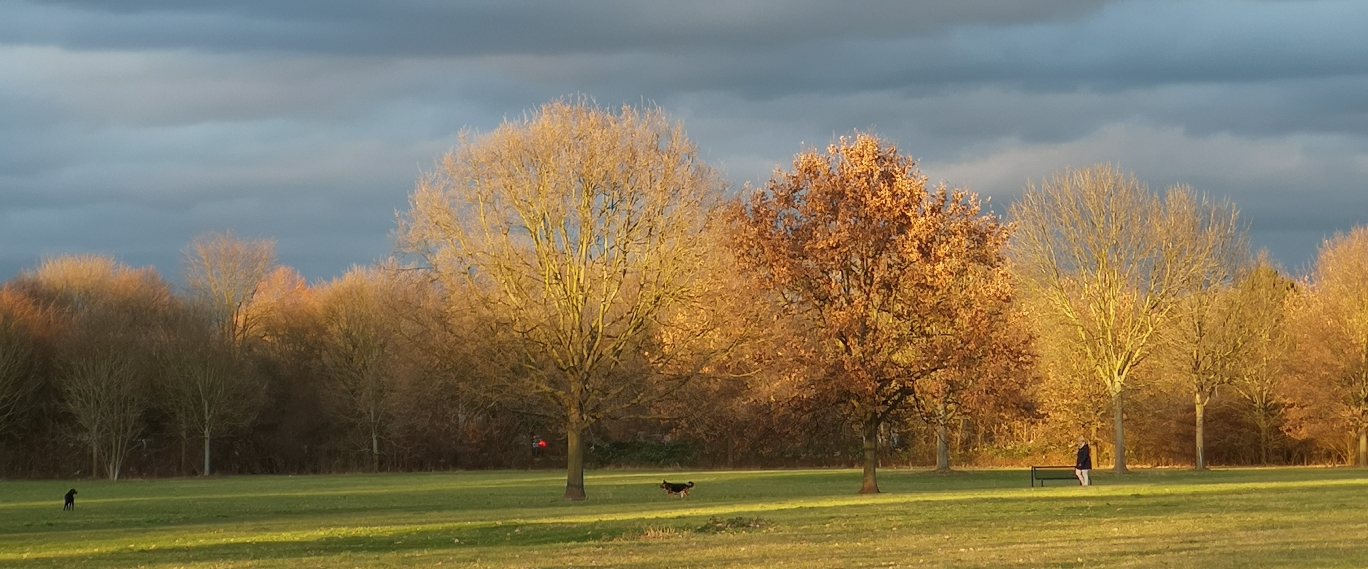 Freunde von Lena banner