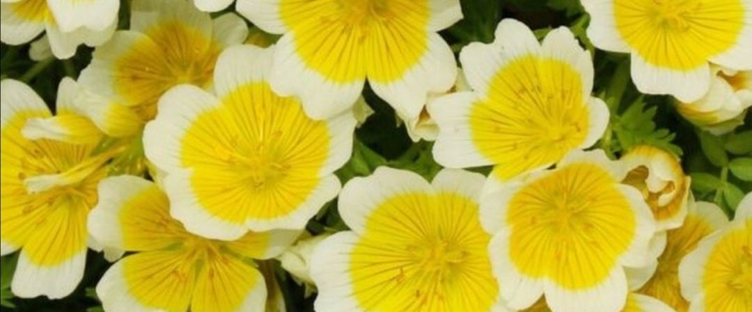 Между нами девочками! banner