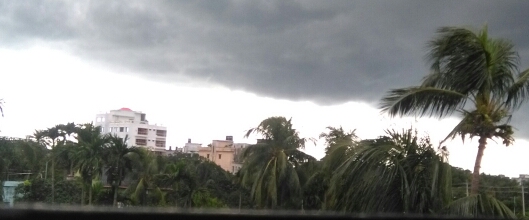 Walk for Live banner