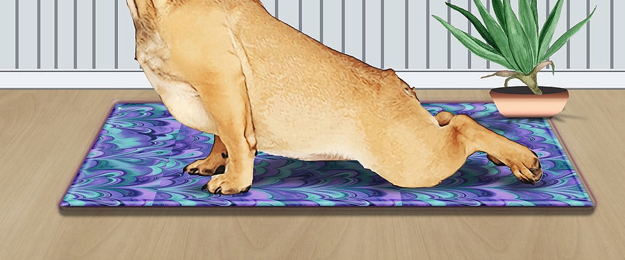 Happy Feet 2.0 banner