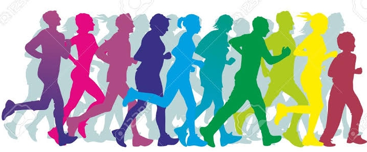 sanoFIT background