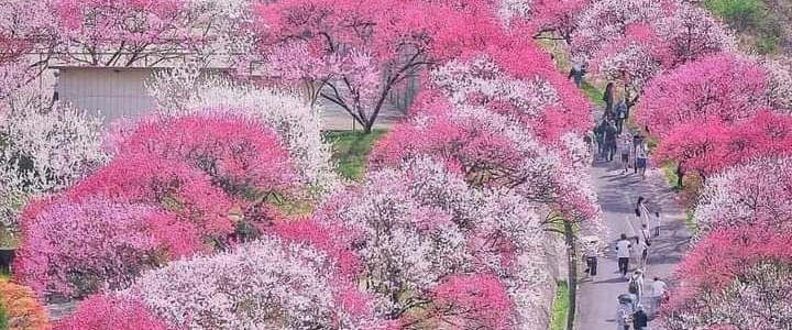 Happiness with Sport and Health banner