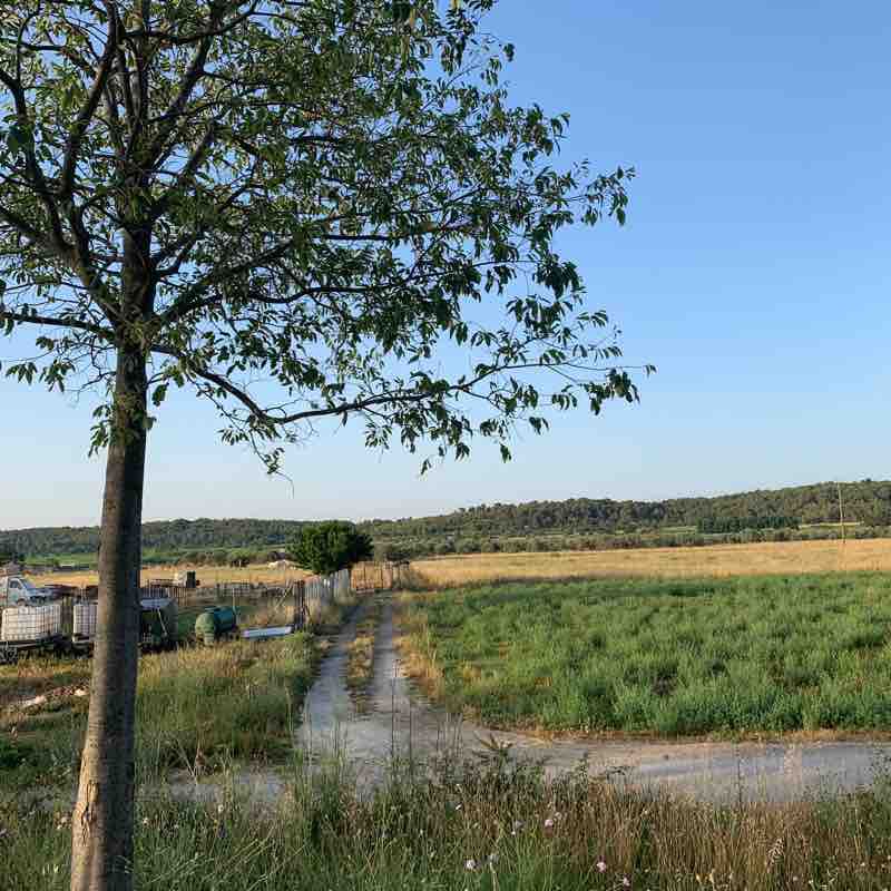 Sommer course walking route map in Mus