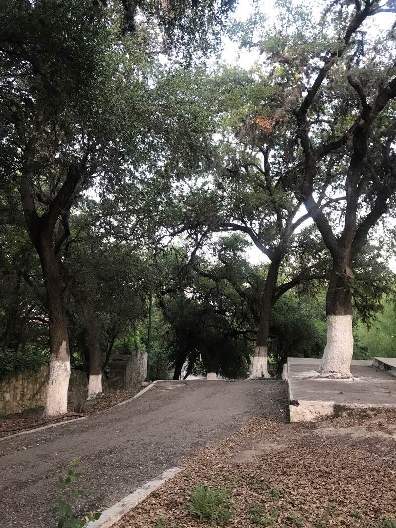 walking near me in Parque La Cascada in winter