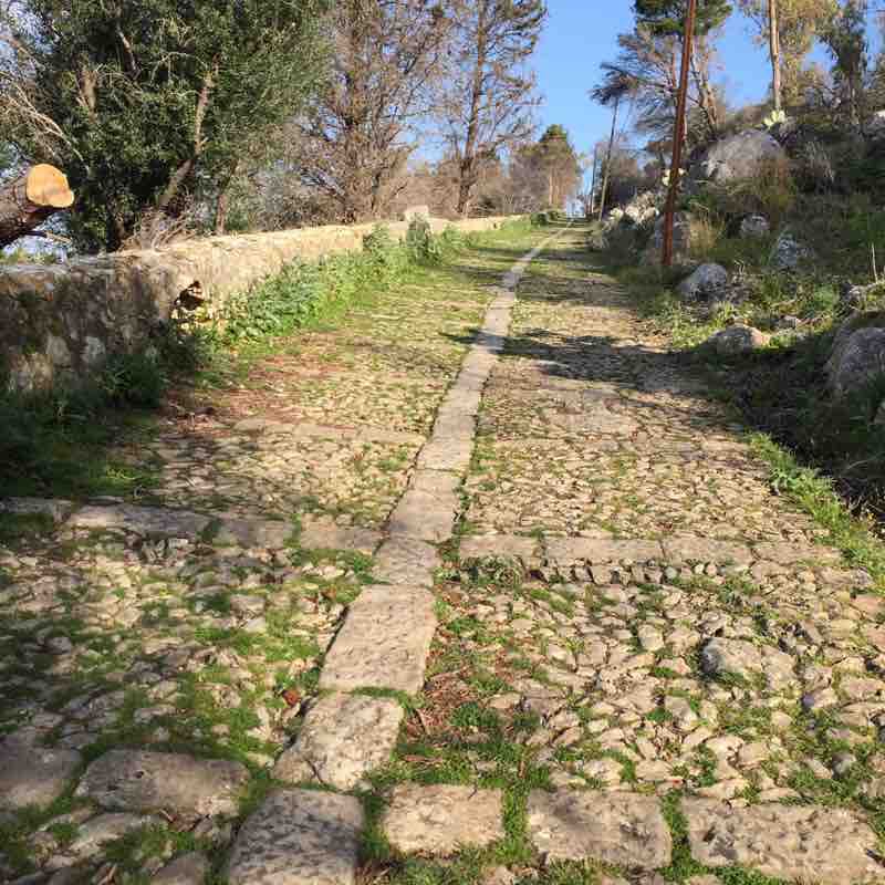 “Acchianata” Santa Rosalia