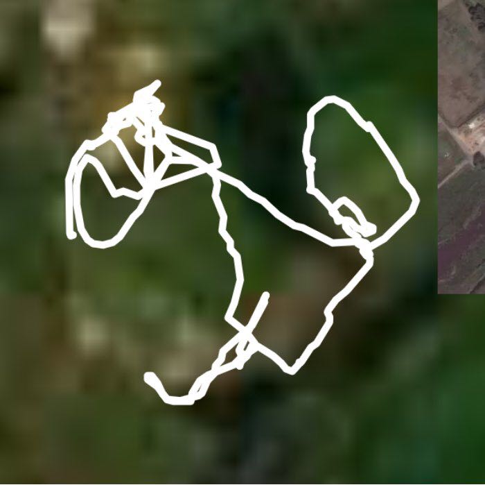 yorkshire wildlife park