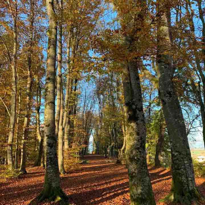 Beromünster Radio walking route map in Beromünster