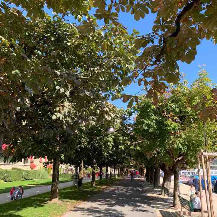 Luzerner Seeuferweg vom Schwanenplatz zur Seeburg