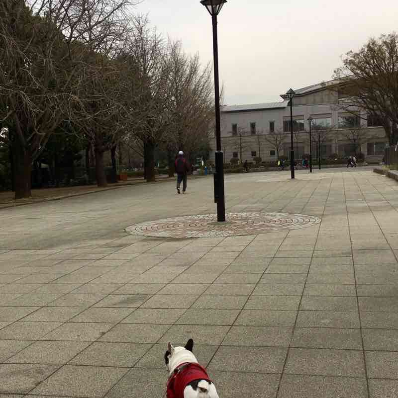 光が丘公園