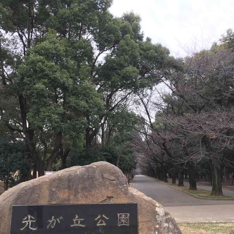 光が丘公園