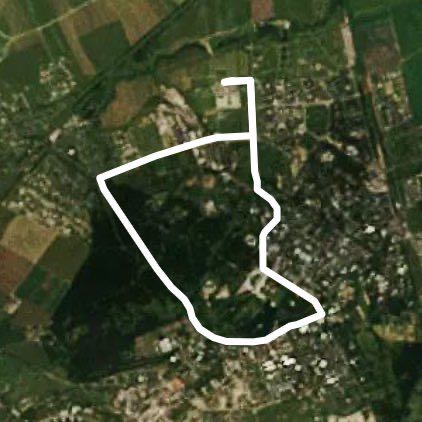 Бег в Пушкине