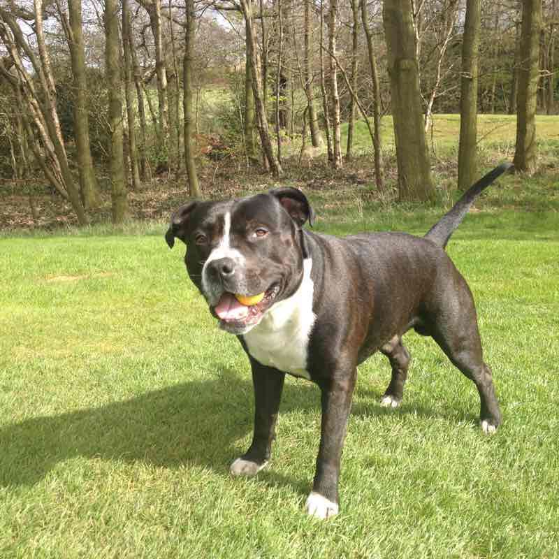 The nearest major town from my village  