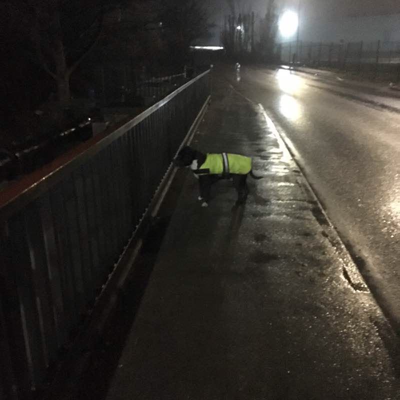 Riverside walk🐾👣from home🏡to nearest town