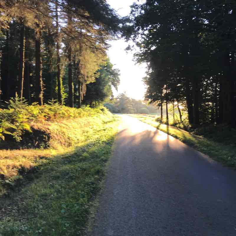 Forges forest Lorge Godard walking route map in Plœuc-L'Hermitage