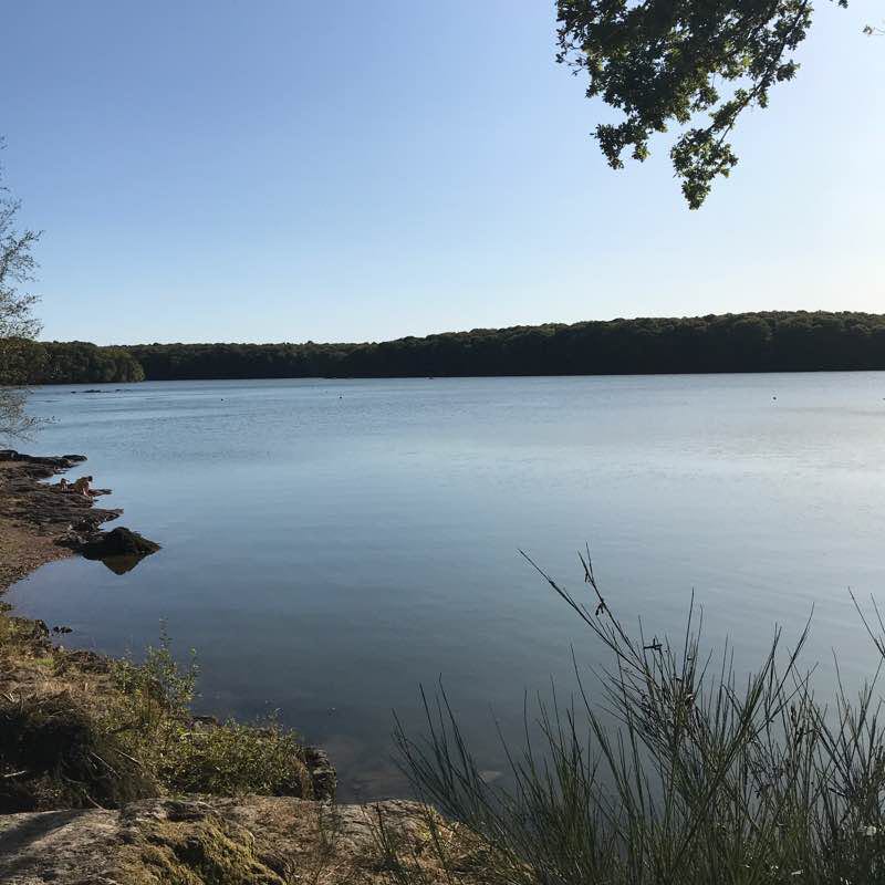 Pond of Trémelin Iffendic 35 walking route map in Iffendic