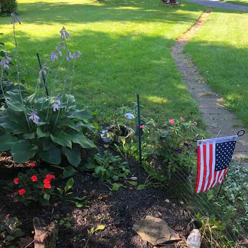 Curran Rd walking route map in Farmington