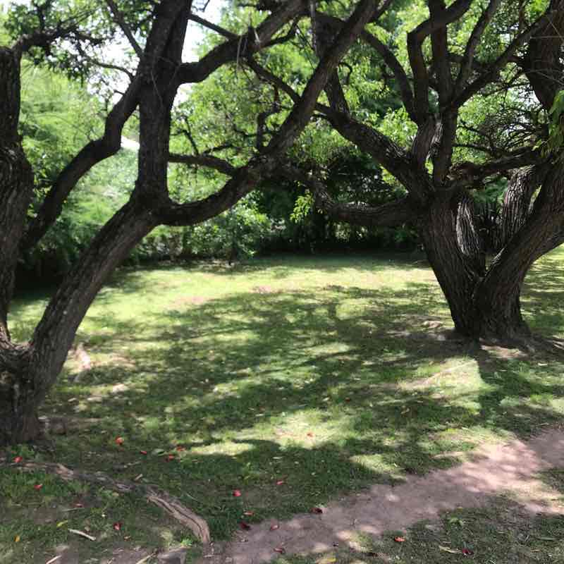 San Isidro walking route map in San Isidro