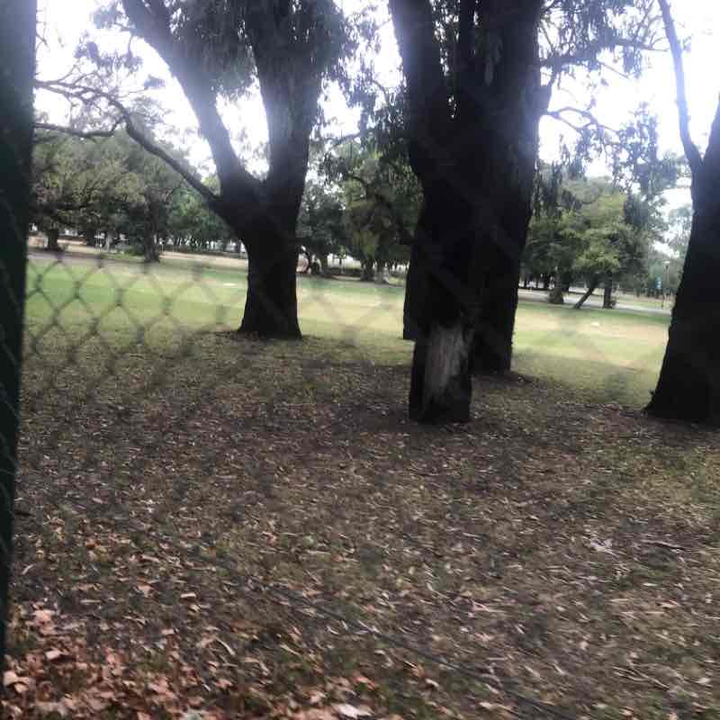 Hipódromo de San Isidro