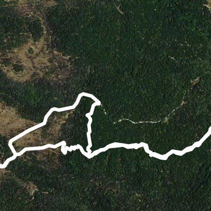 Cedar Ridge Preserve