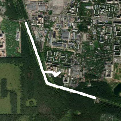 прогулка в парке