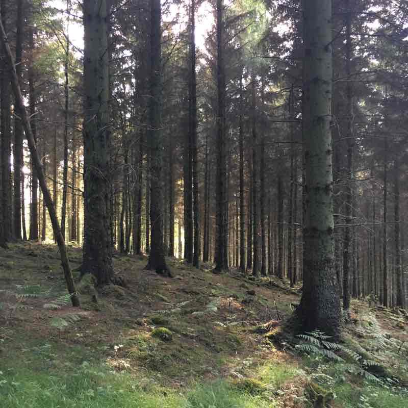 West Quantoxhead walking route map in East Quantoxhead