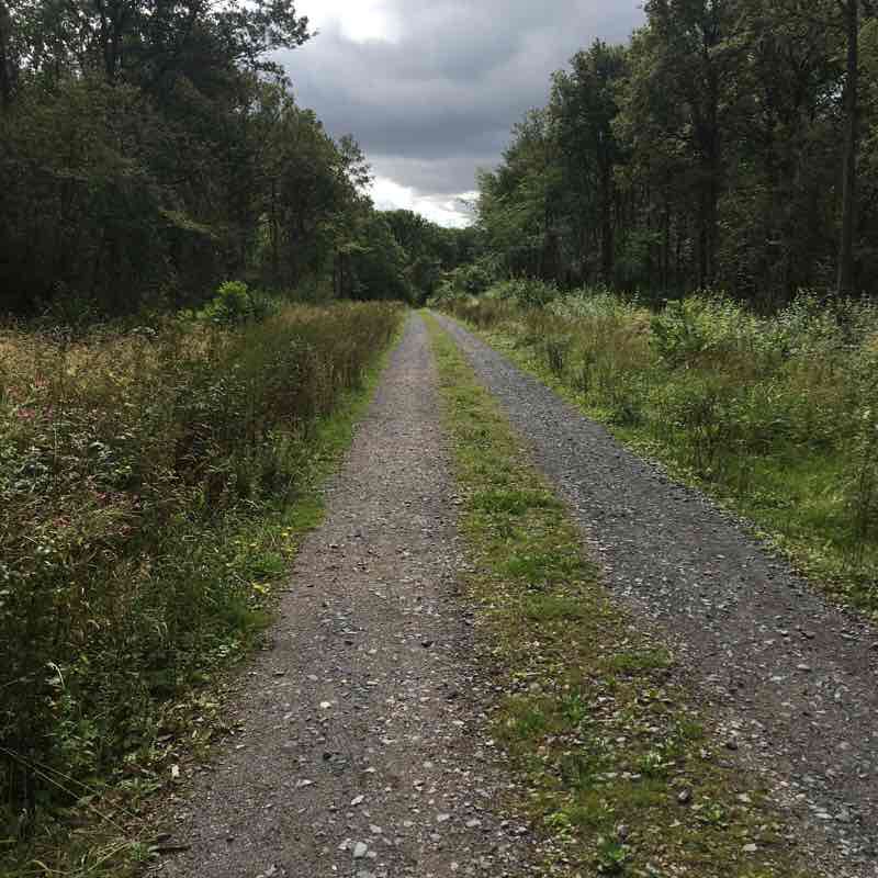 Fyrmyn park walking route map in Brigstock