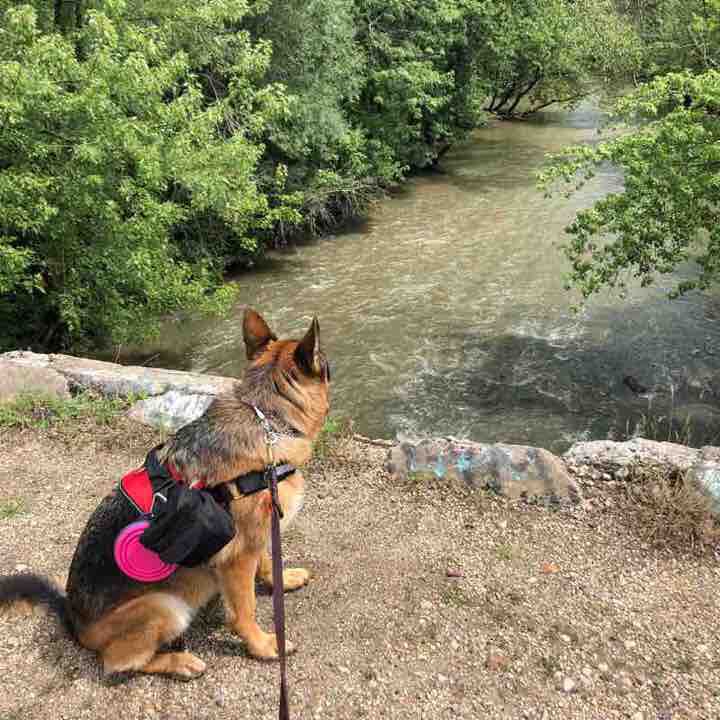 Sauganash 4 Miler Walk Trail Chicago, Illinois, USA Pacer
