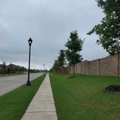 Lions-Betsy Hamilton post 1