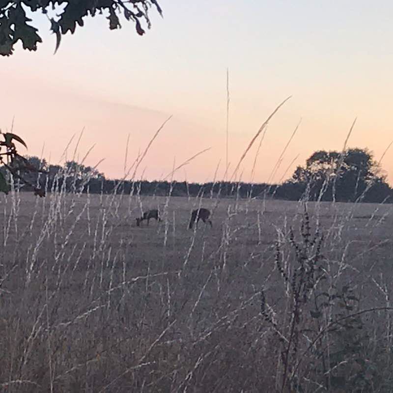 Penton to the East walking route map in Charlton