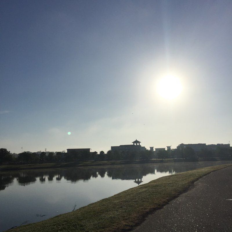 Tuesday Morning Stroll