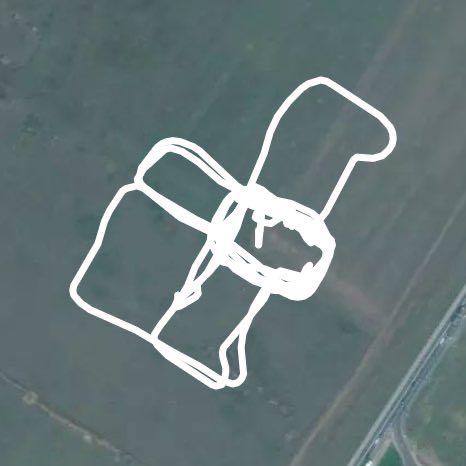 Утренняя прогулка))