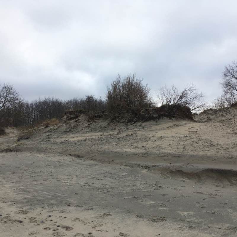 Trekking to the first river walking route map in Zelenogradsk