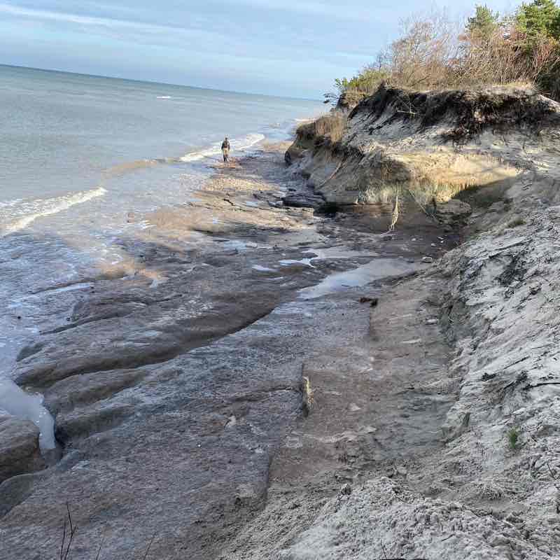 Roshchino walking route map in Zelenogradsk