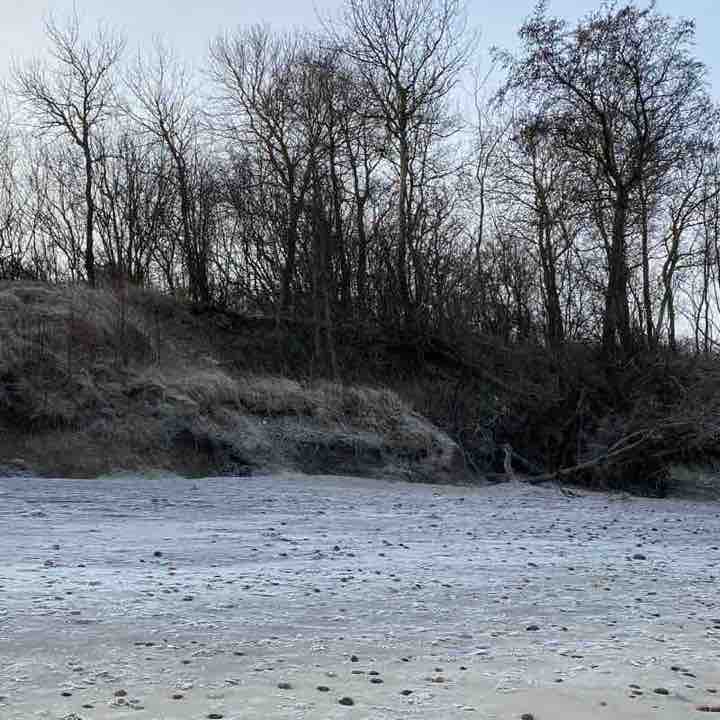 Sokolniki walking route map in Zelenogradsk