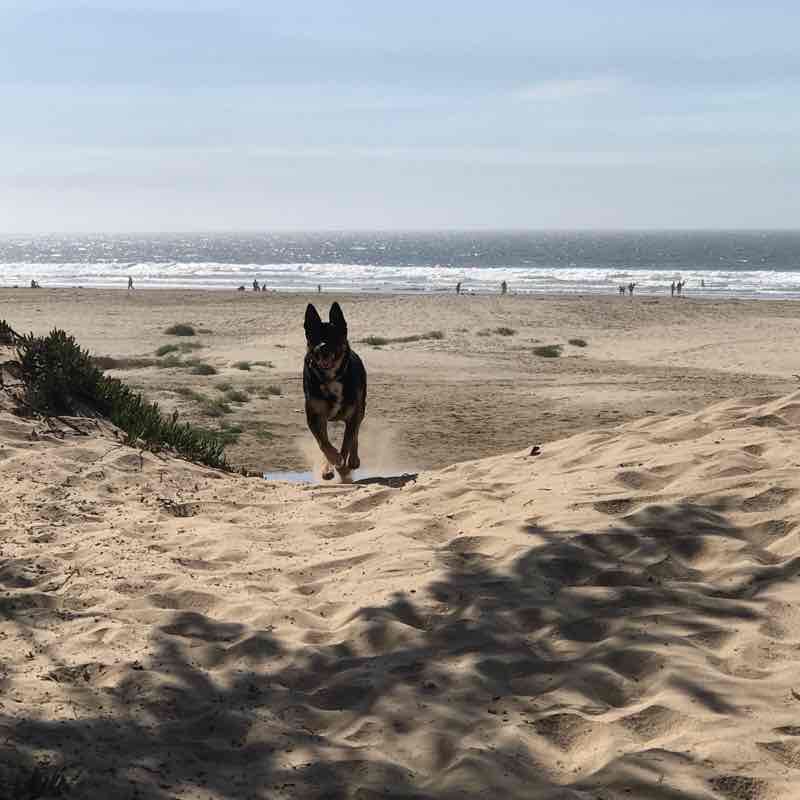 Pismo Beach trail Hike California, USA Pacer
