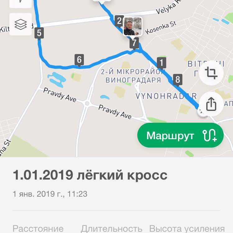 Виноградарский лес