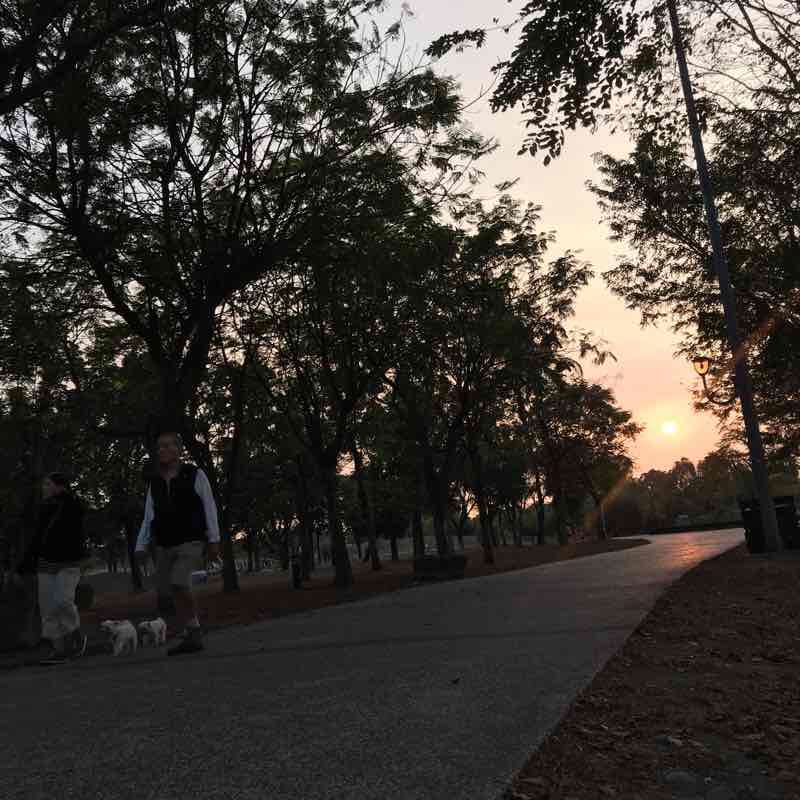 Weiwuying park