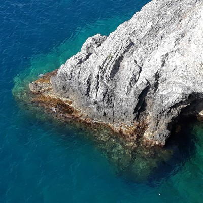 Sonia🦉🐶 post 3