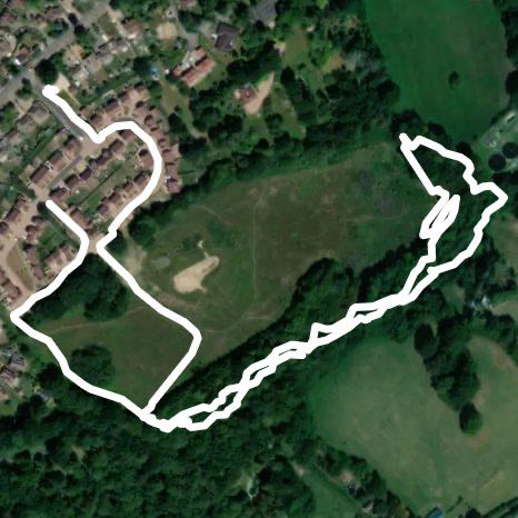 Bluebells and Severn Acres