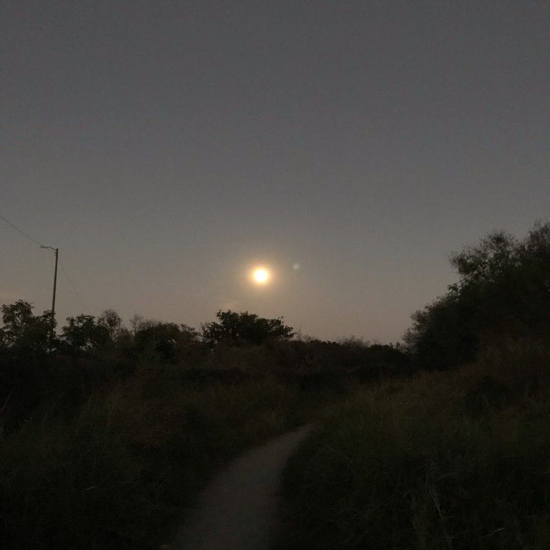 Bosque urbano el refugio 