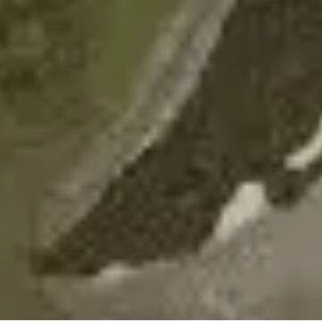 Villeneuve Maguelone Cathedral walking route map in Palavas-les-Flots