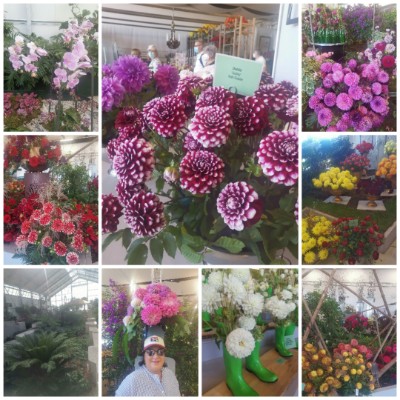 🌠NATURE BEAUTY🌠 JULIE post image