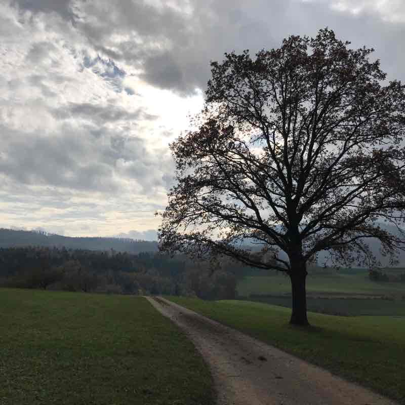 From Ueken to Zeihen walking route map in Zeihen