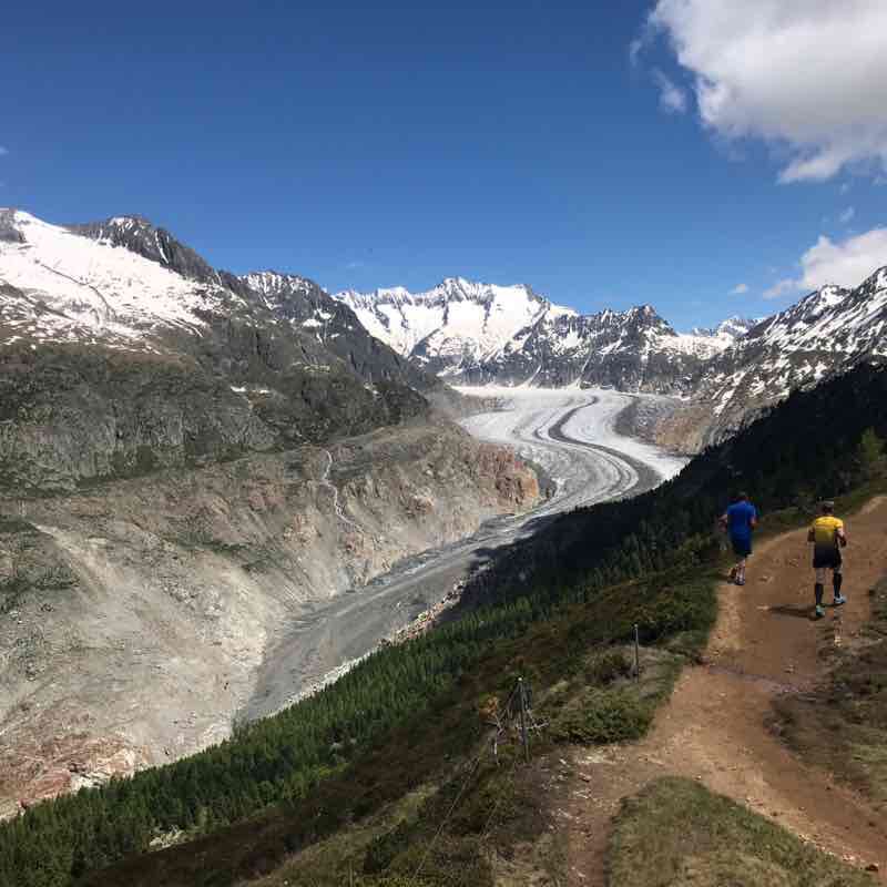 Aletsch Half Marathon (Official Route 2019) walking route map in Bettmeralp