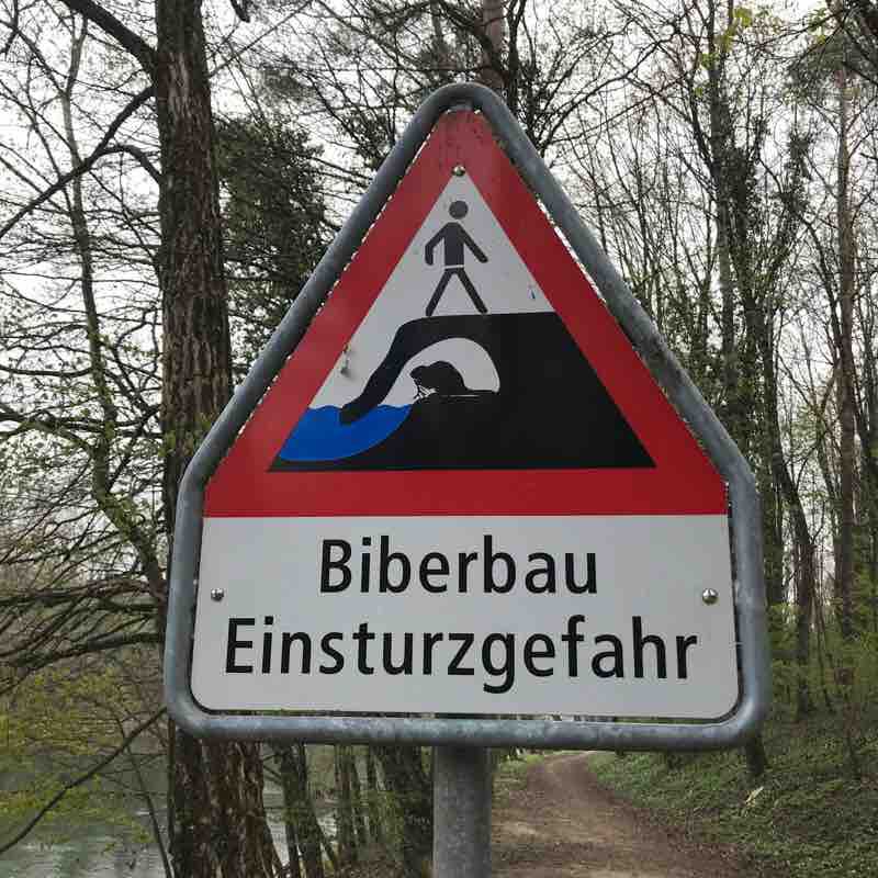 From Zeihen over Bözberg to the river Aare walking route map in Zeihen